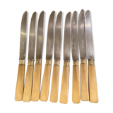 9 Pradel knives