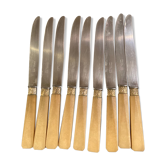 Set de 9 couteaux Pradel