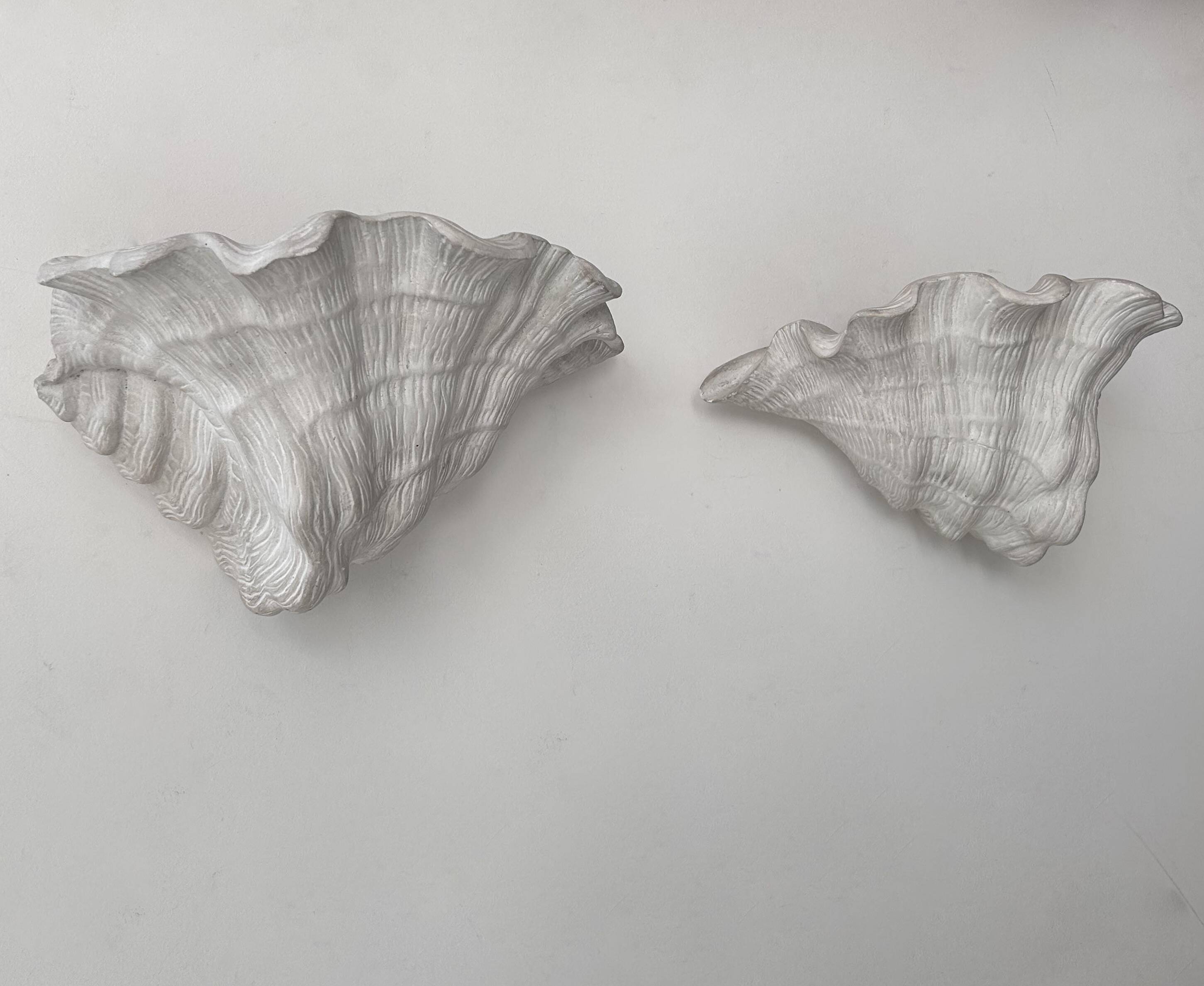 Pair of vintage shell wall lights, matte white plaster, France 1940