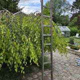 Wooden ladder