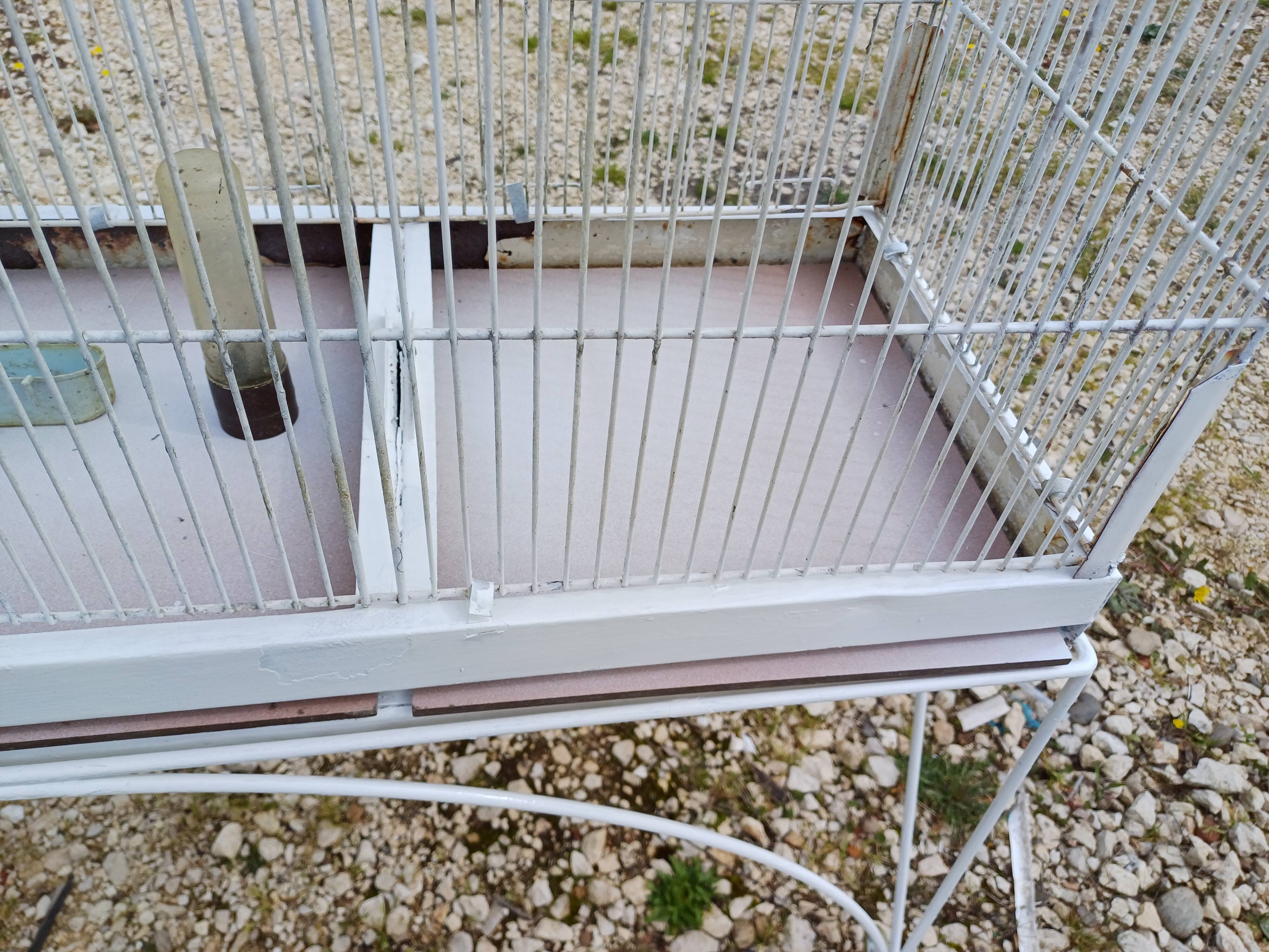 Cage à Oiseaux Fer 1900