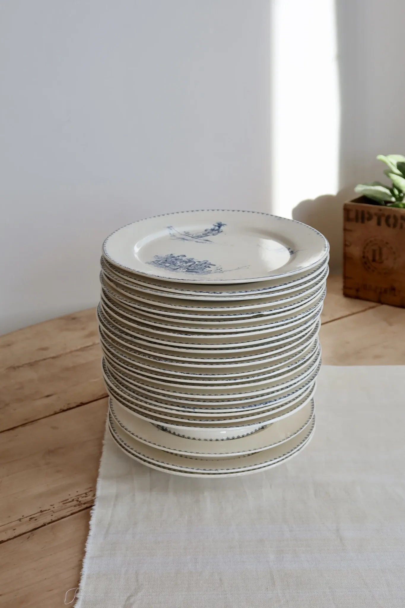 6 antique flat plates Creil and Montereau Téniers service