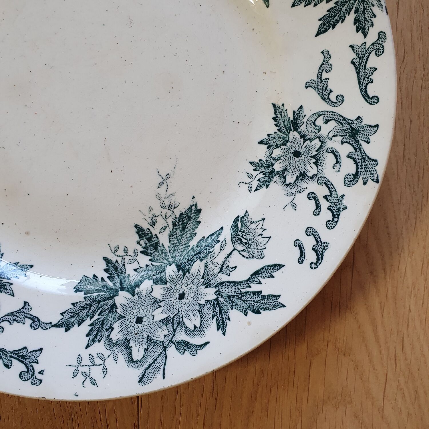 Anemone Iron Earth Plate