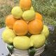 Vintage ceramic barbotine citrus fruit centrepiece