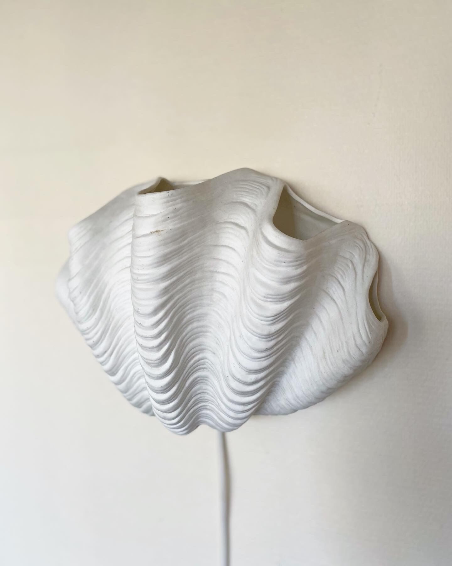 Ceramic shell wall lamp