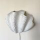Ceramic shell wall lamp