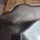 Large silver-plated serving tray – Rococo decoration & shell handles