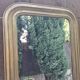 Golden mirror