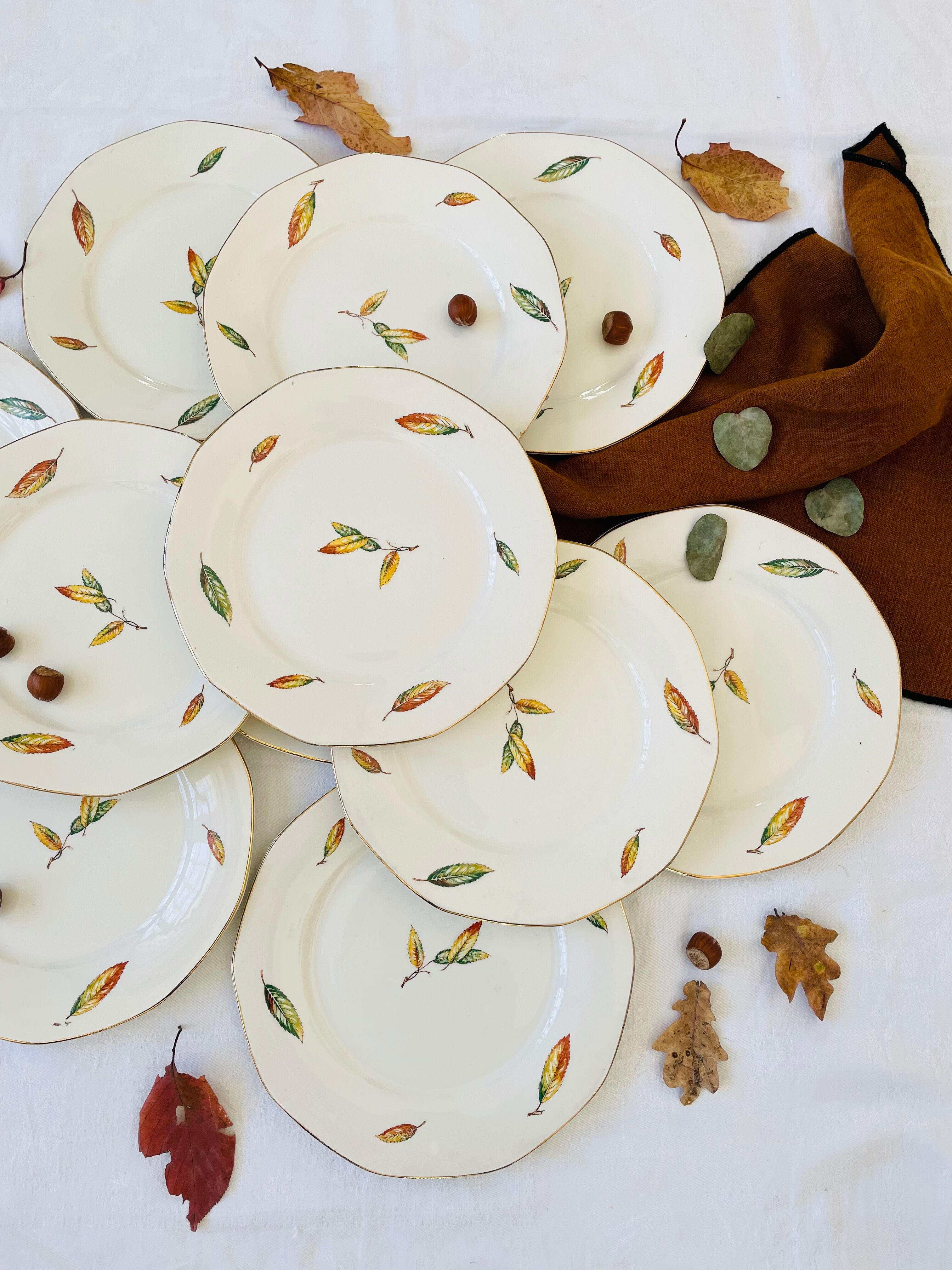 Set of 11 vintage flat plates Digoin Sarreguemines model Nemours