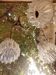 Three-light waterfall chandelier