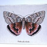 90s fabric butterfly suspension