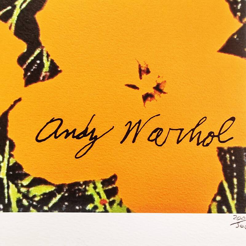 Lithographie en édition limitée Andy Warhol "Flowers" années 1980 par CMOA