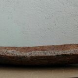 Cut in tree bark