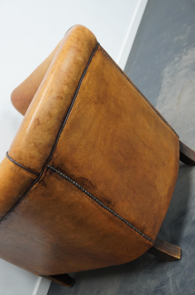 Club armchair in leather color cognac Netherlands