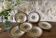 6 assiettes plates Jules Vieillard Bordeaux en terre de fer