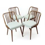 Ensemble de 4 chaises de salle à manger en chêne foncé courbé par Jitona, Tchécoslovaquie 1960