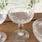 Champagne coupes etched set of 4