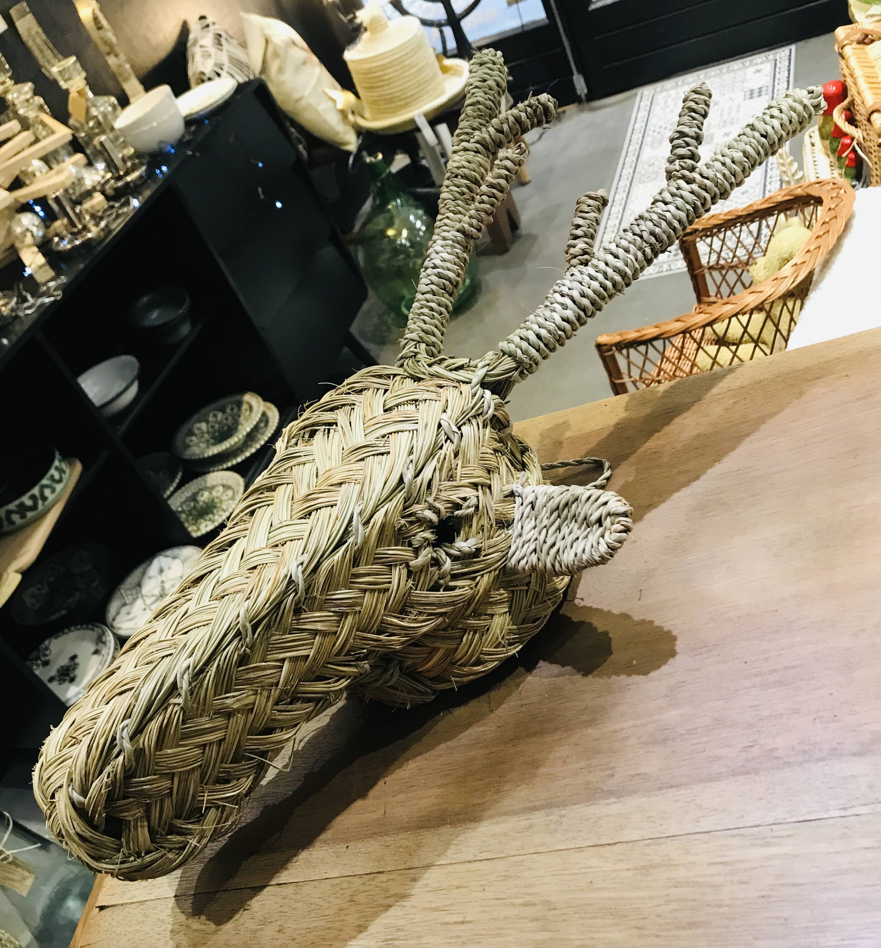 Braided alpha reindeer or deer head Morocco