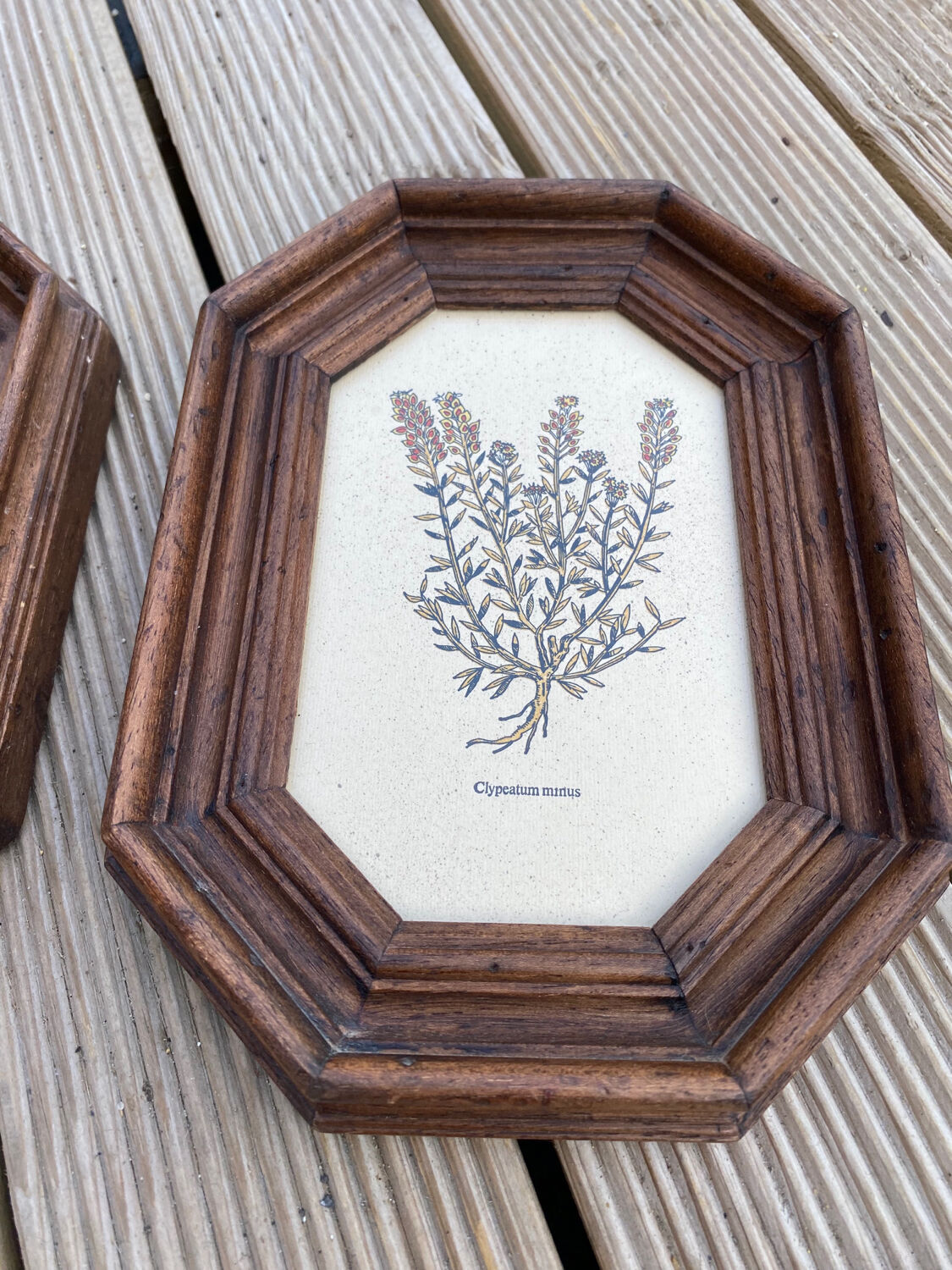 Duo botanical boards