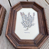 Duo botanical boards