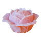 Choux en opaline art nouveau