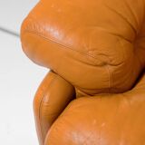 1970 Vintage Coronado Brown Leather Armchairs by Tobia Scarpa for C&B Italia