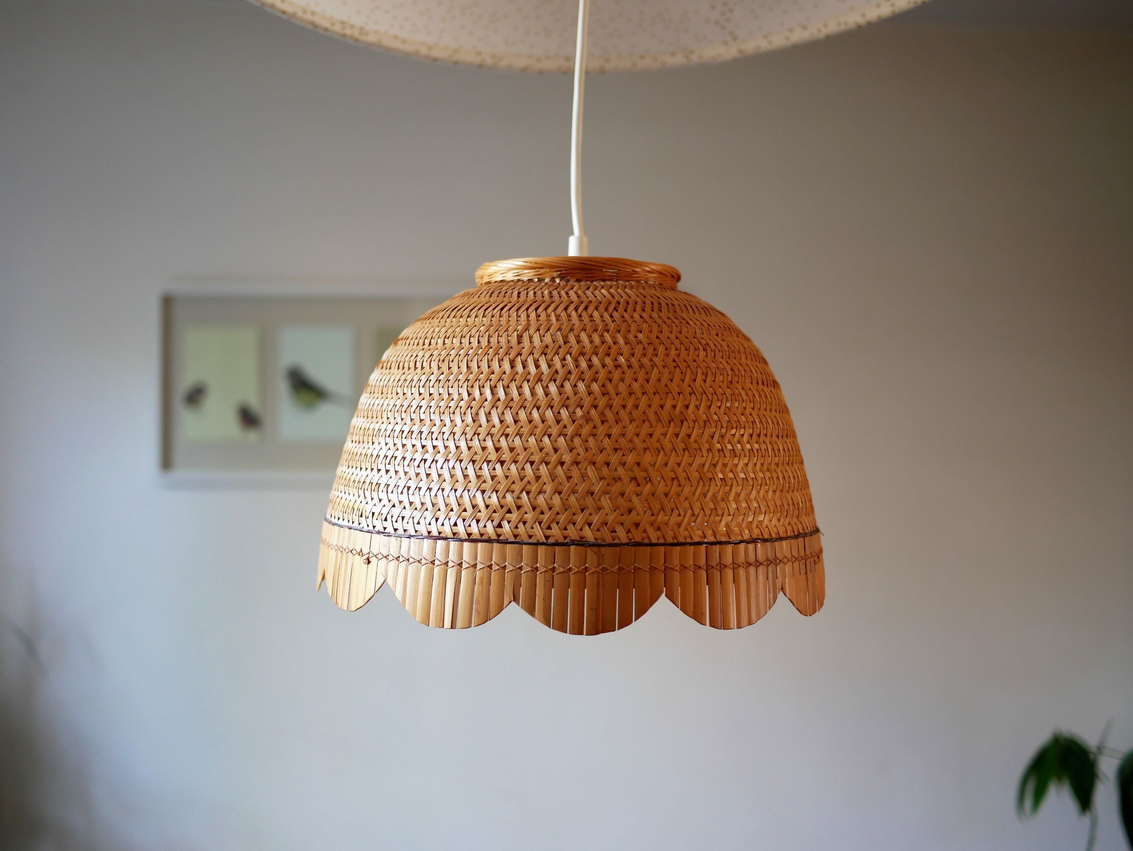 Rattan pendant light