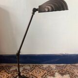 Shell desk lamp