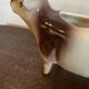 Milk jug - Cow motif - vintage ceramic