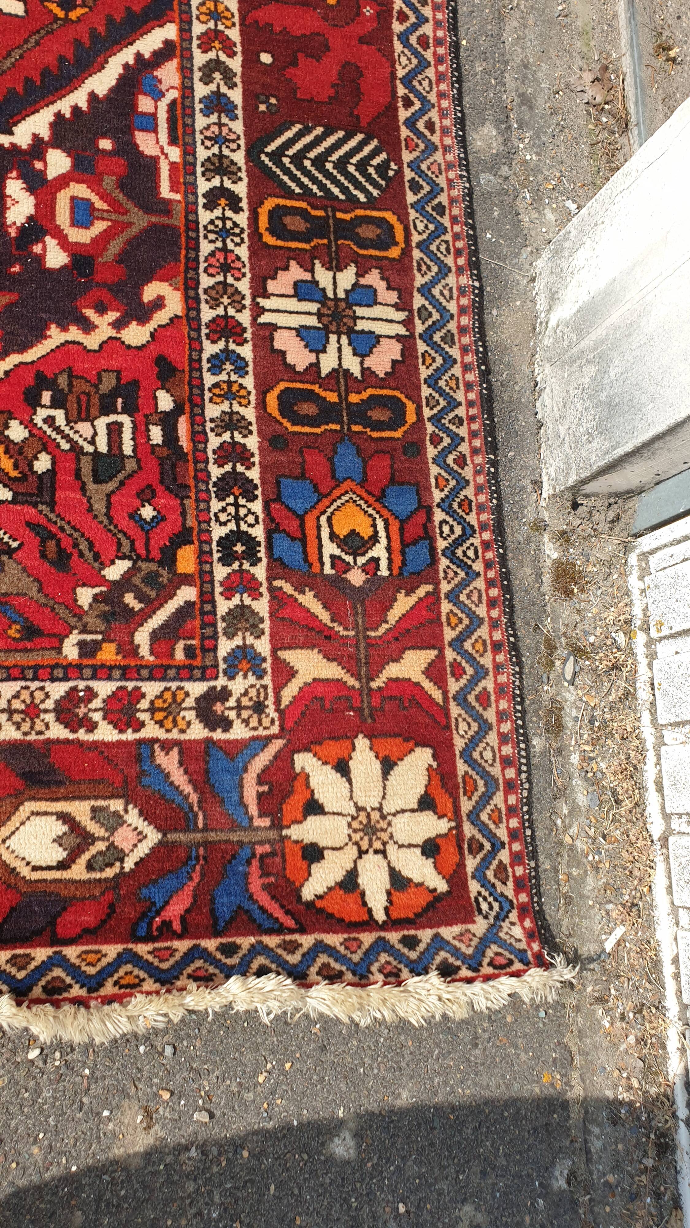Wool bidjar rugs 202x285cm