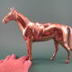 Animal statuette horse in solid brass