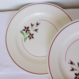 Set of 4 vintage porcelain dinner plates from the Salins factory