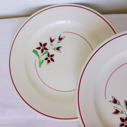 Set of 4 vintage porcelain dinner plates from the Salins factory