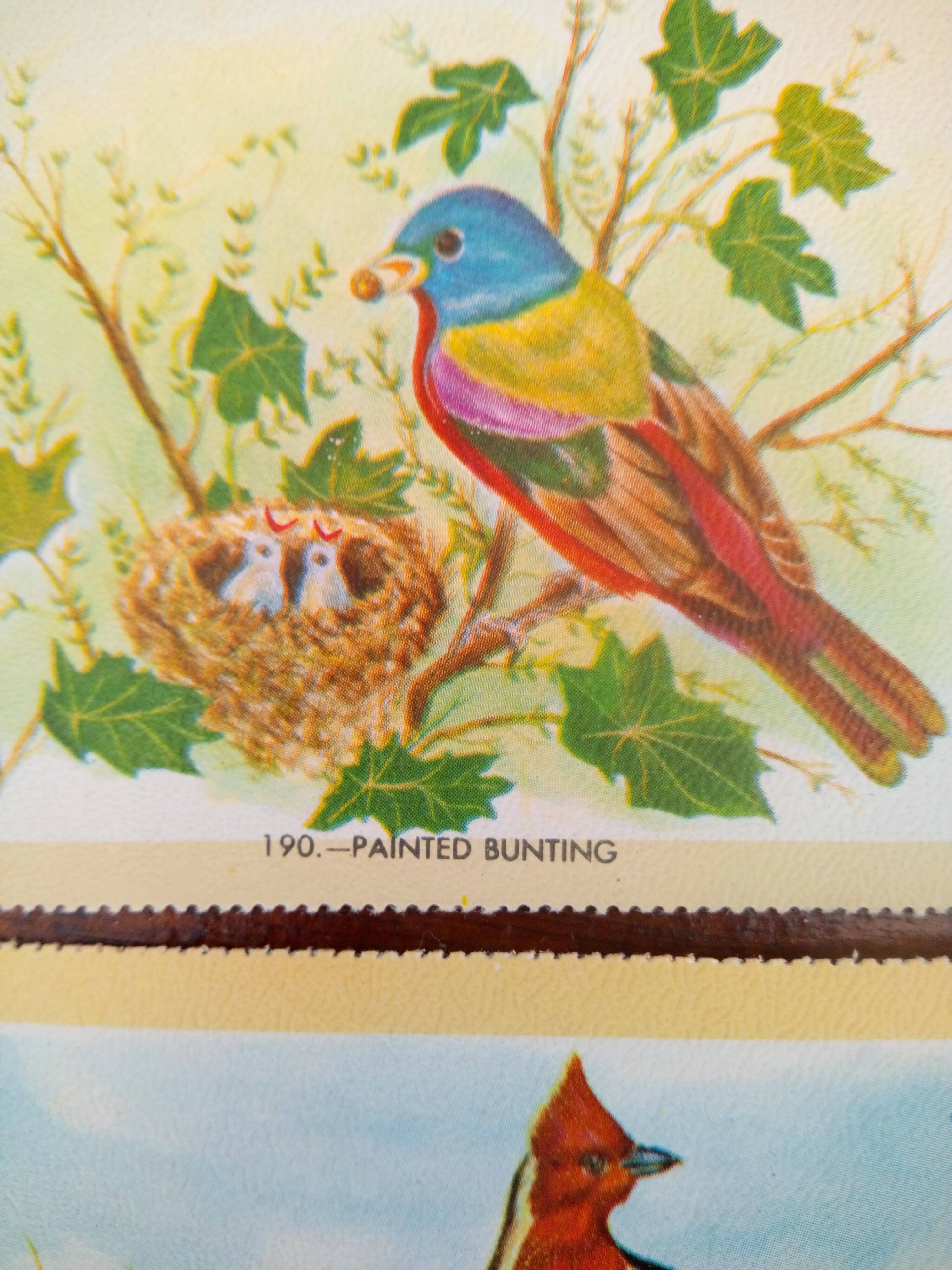 lot of zoological posters, birds, 60s