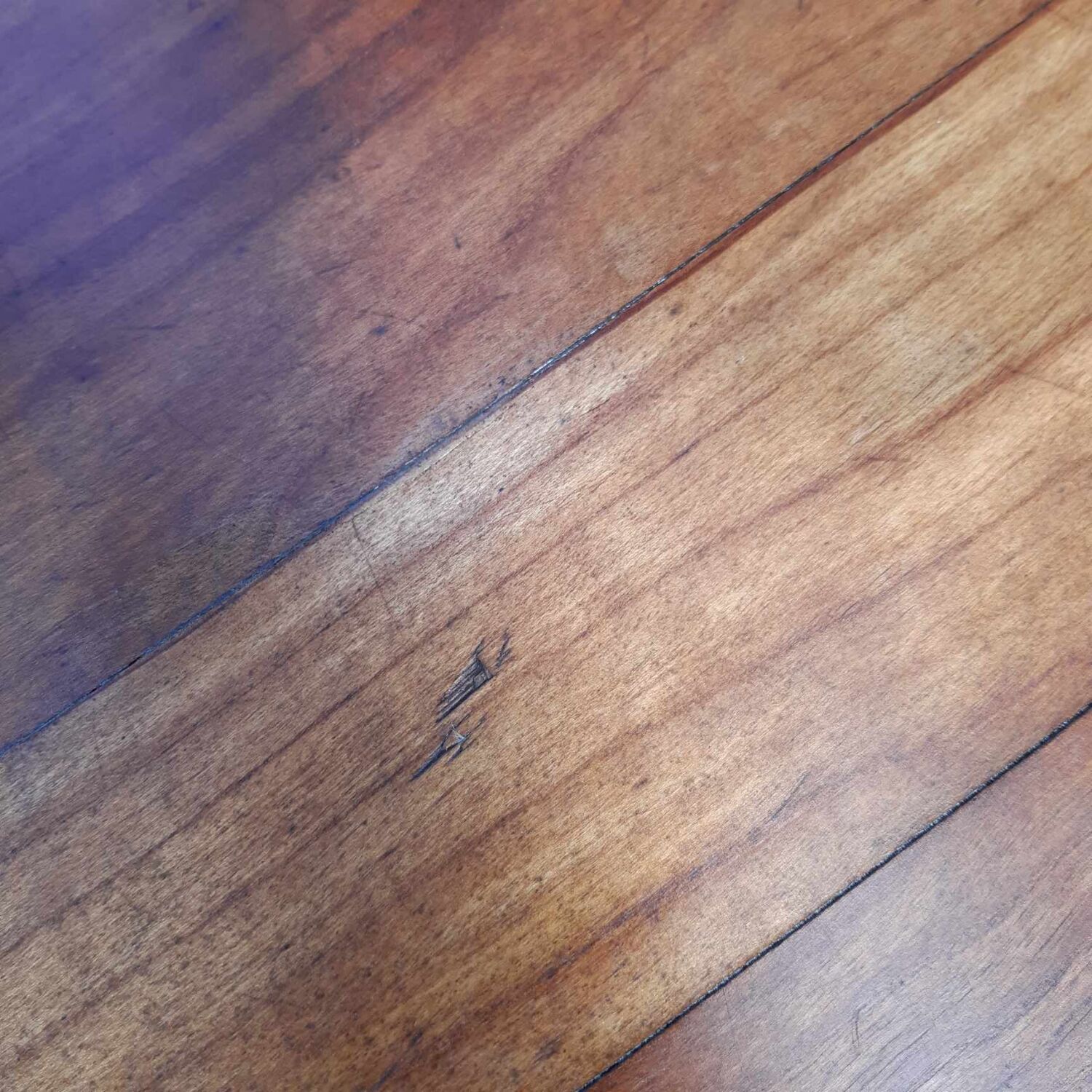 4 chaises De Ster Gelderland