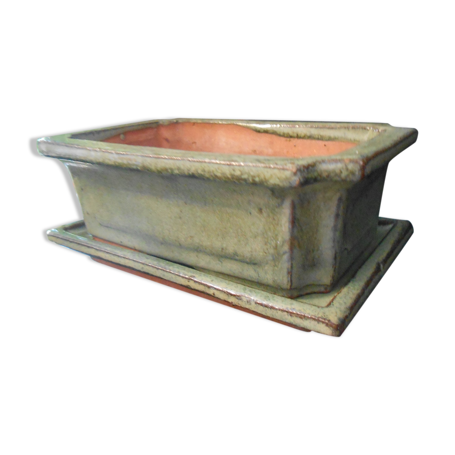 Small terracotta planter