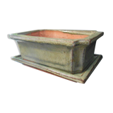 Small terracotta planter