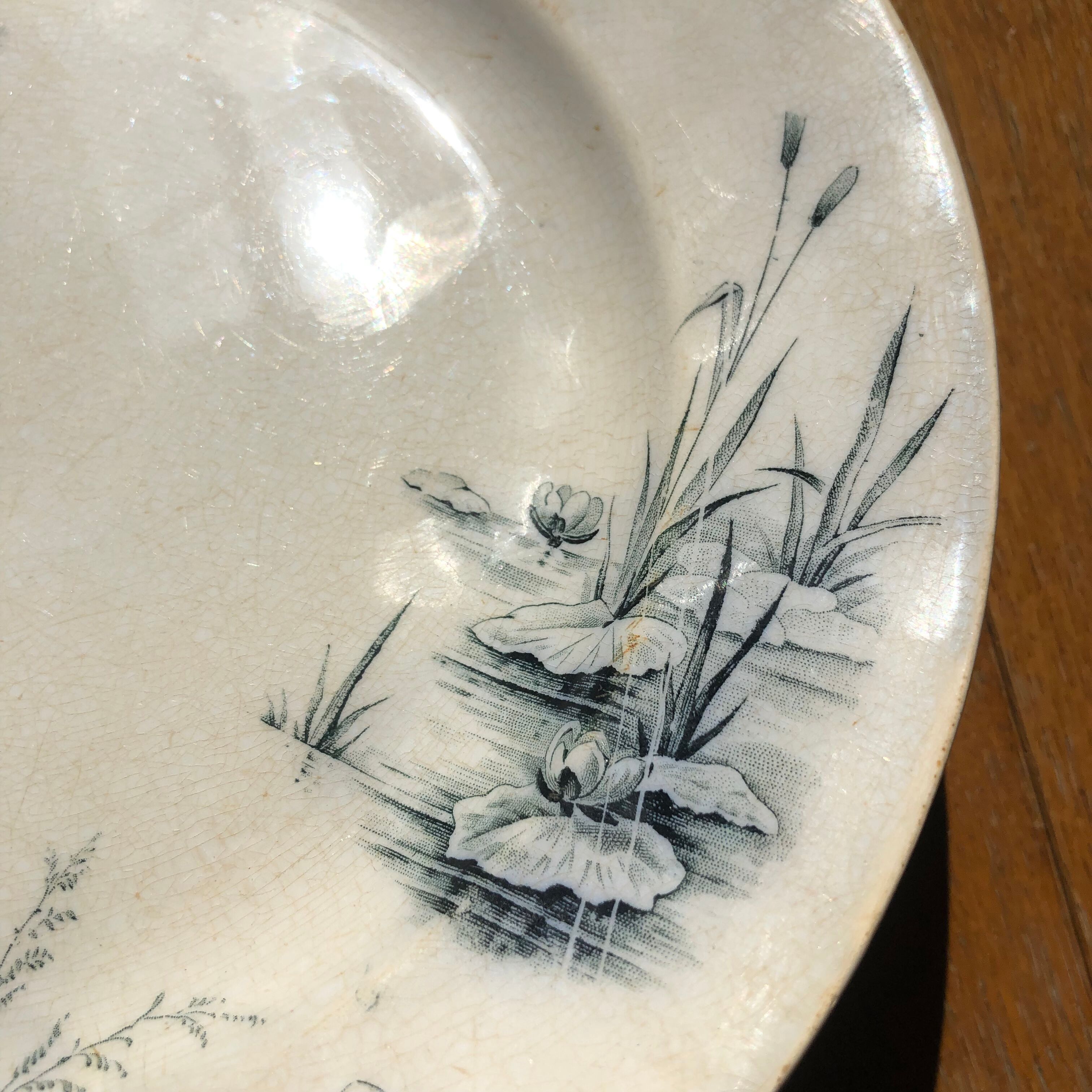 Plate Villeroy and Boch model Alaska