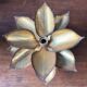 Pair of Maison Jansen wall sconces. 1970s
