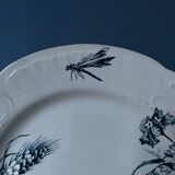 Dish plate in Terre de Fer XIXth, Choisy-Le-Roi