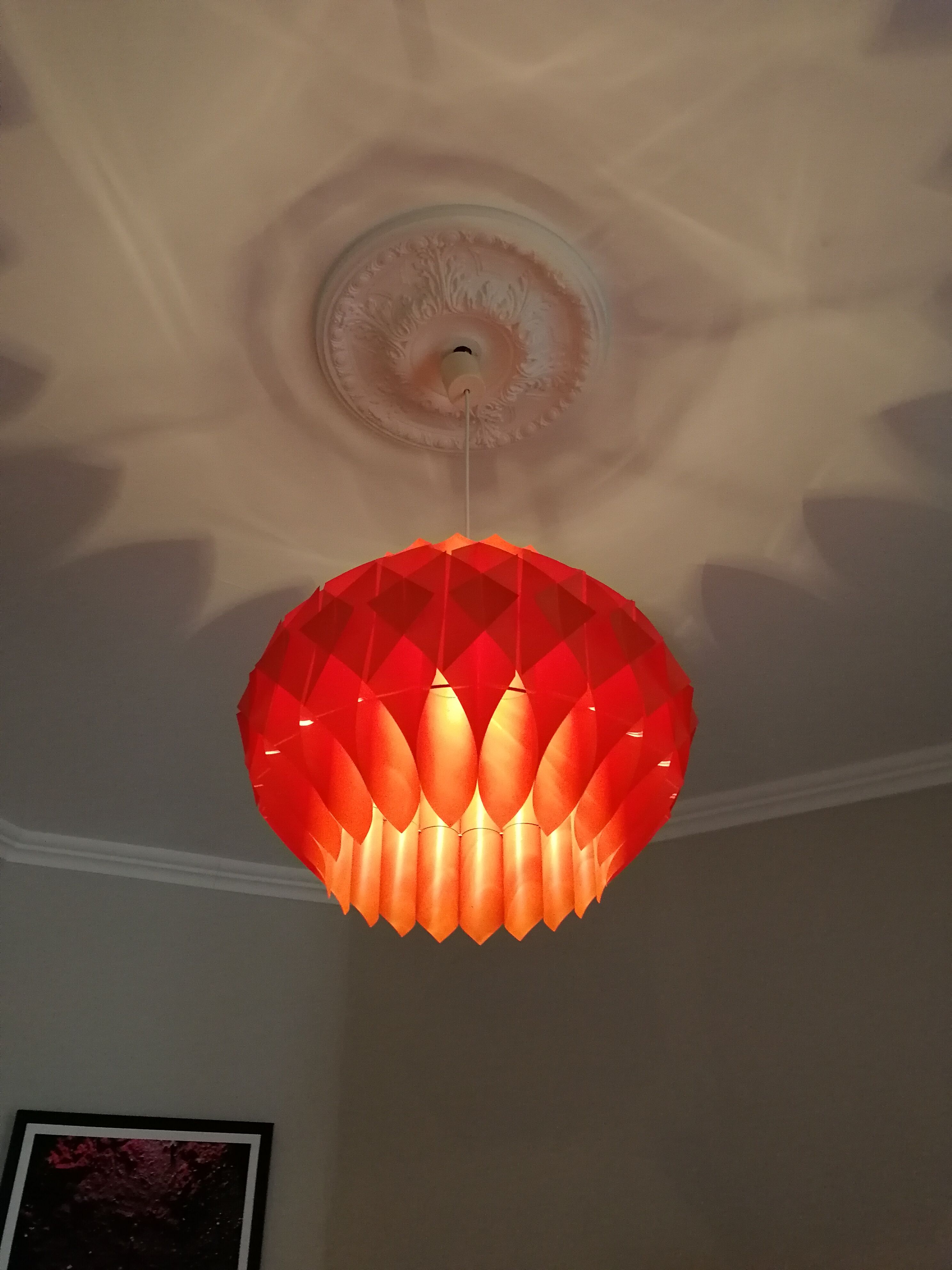 Shioler lars butterfly hanging