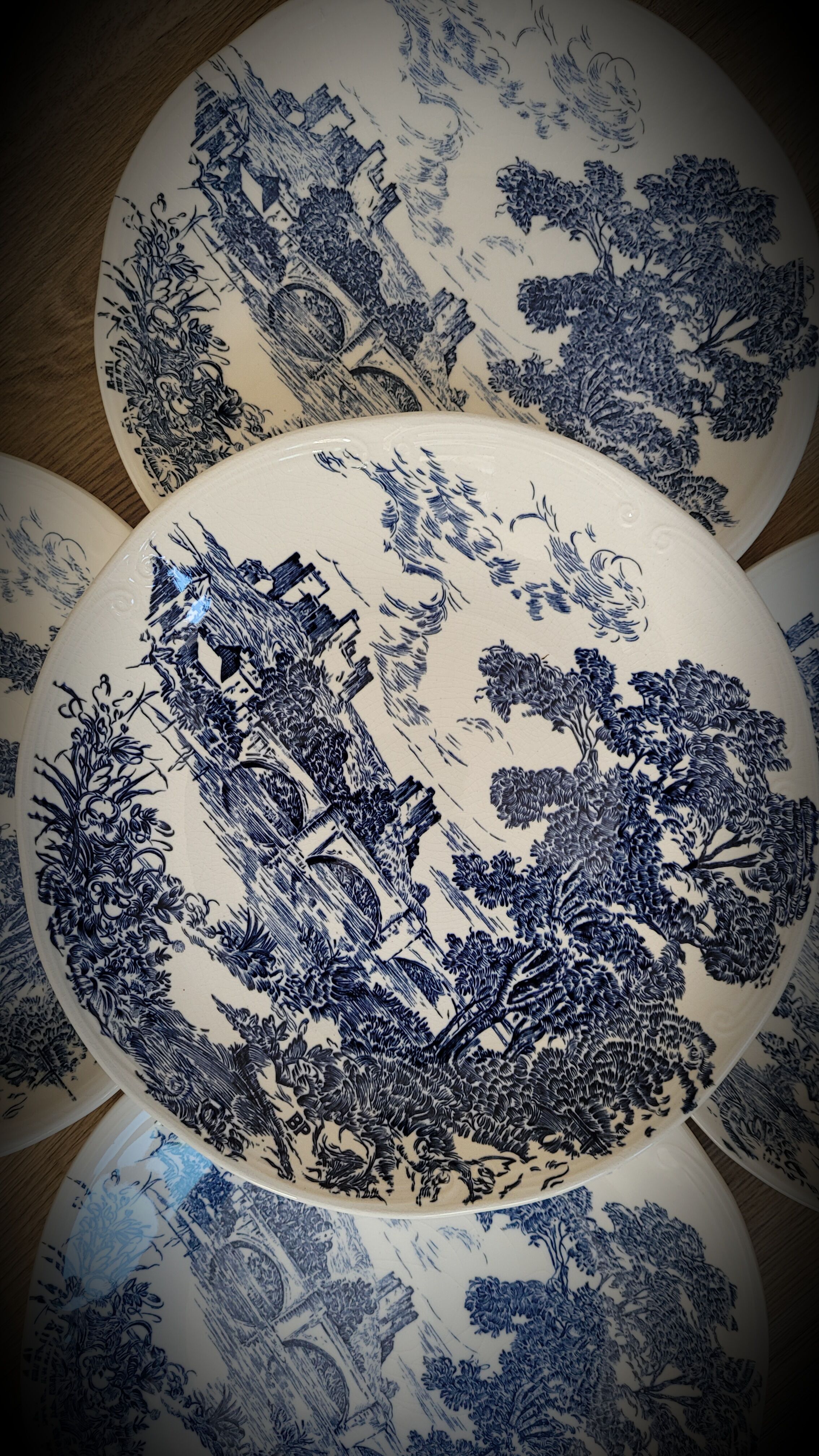 Set 5 flat plates Gien BP