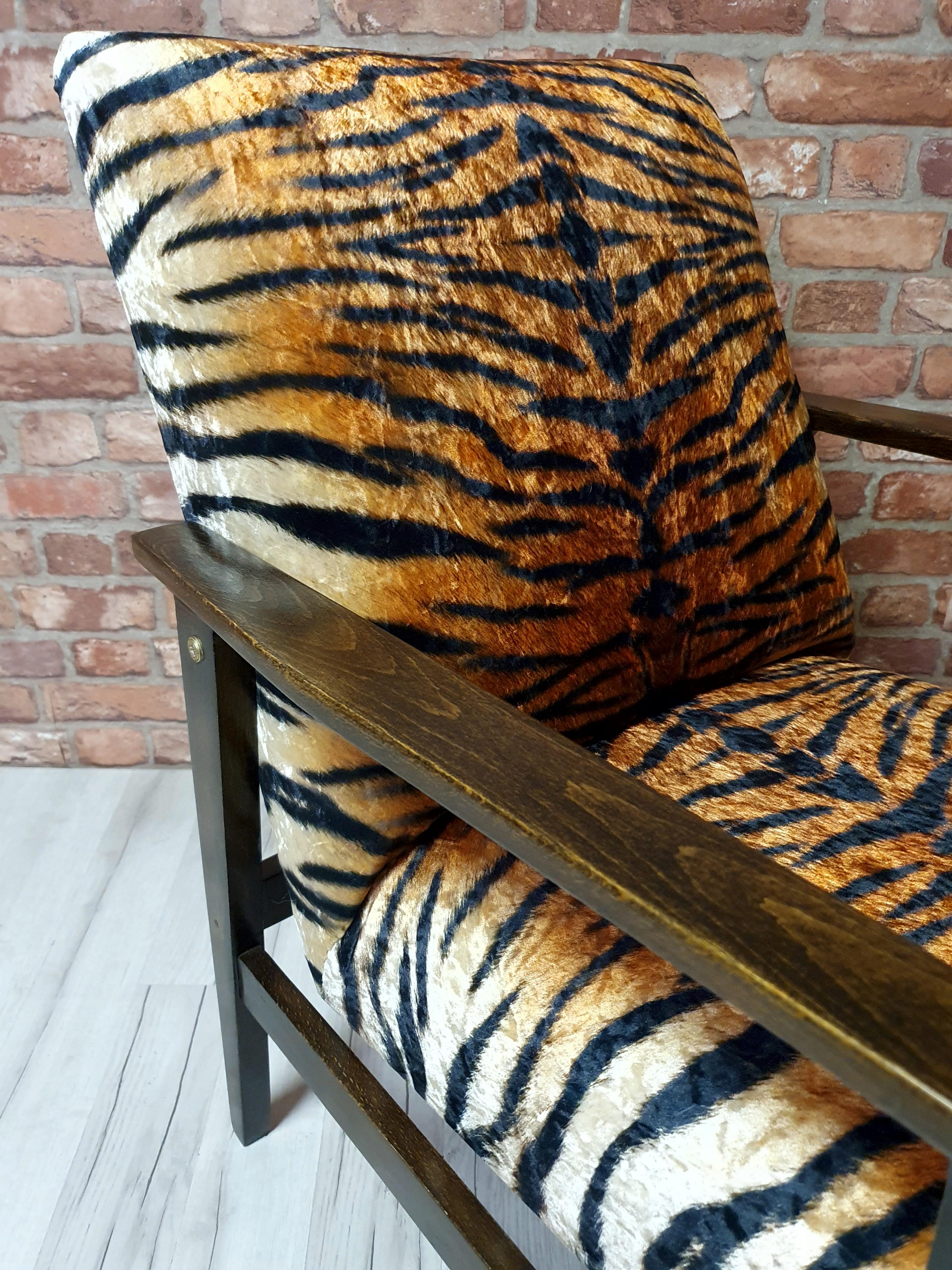 Renovated armchair BW-14, Tiger, Poland 1960s