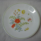 6 assiettes en porcelaine fleuries 1970