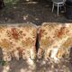 Lot de 2 chaises sans accoudoirs style vintage, tissu fleuri et jupe