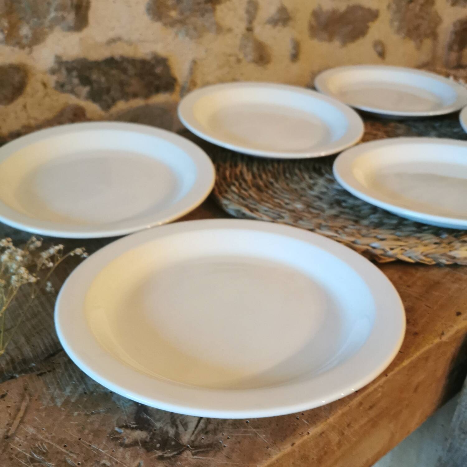 Vintage dessert plates, nesting set by Michel Hamon, Gien Prisunic