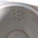 White porcelain teapot