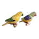 Salt shaker zoomorphic parakeet bird