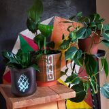 Ceramic potter's pot cover vase 50s