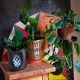 Ceramic potter's pot cover vase 50s
